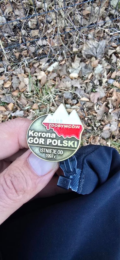 Raf Lewicki tweet media