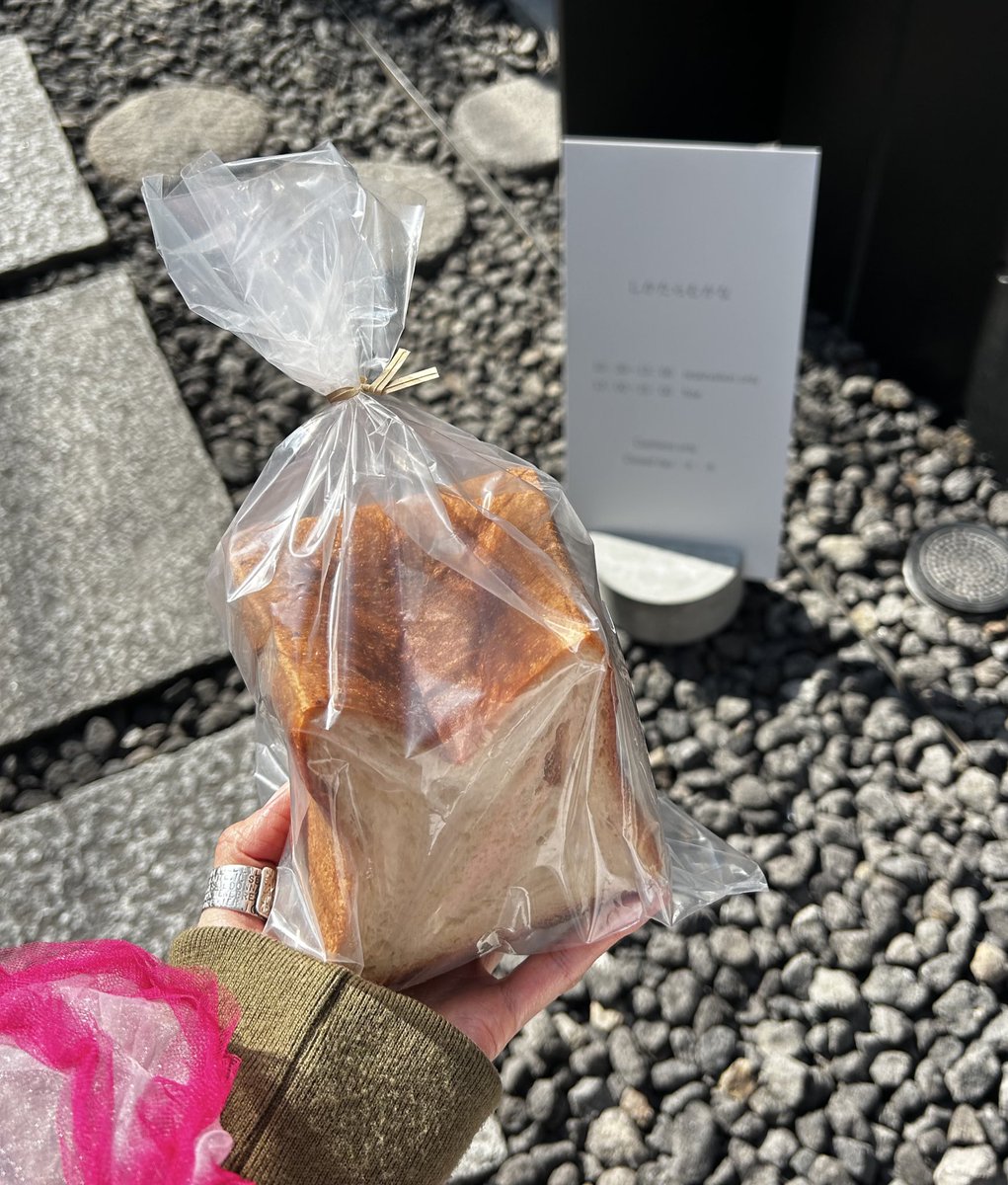 hitomi :::: tweet media