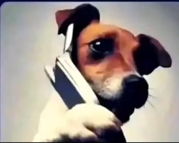 "Sawa ni wrong number..lakini nani huyo amesema nyama za elfu tano..kwani mko wapi..?"😂