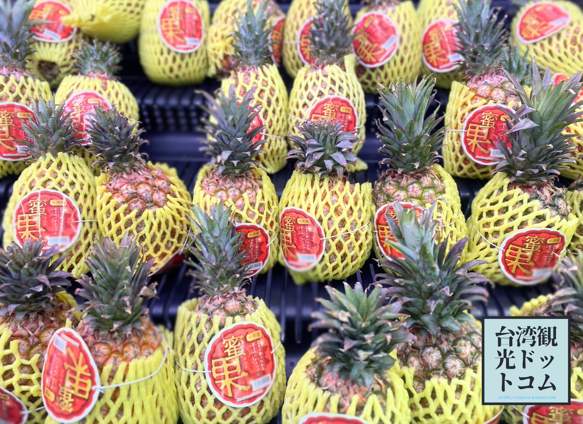 台湾観光ドットコム tweet media