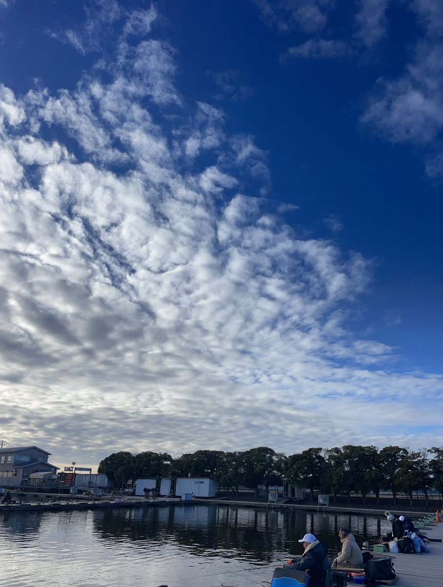 turibito_3104's tweet image. 釣りサポ・椎の木湖…
今回もたくさんのご参加
ありがとうございます😊
初挑戦のチョウチン抜きセット🤔
タナ1.2メートルのセット😱
かなりへら鮒の動きは良くなってきました🎊
ビックリ‼️は
渡良瀬遊水地のヨシ焼き😰
焦りました😬😬

#マルキユー　#シマノ　#TORAY  #オーナーばり　#椎の木湖