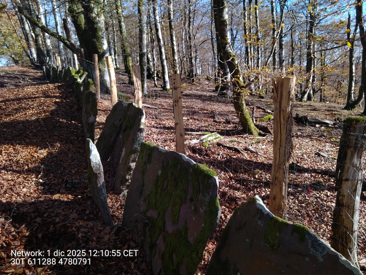 Basozainak / Guarderío de Medio Ambiente tweet media