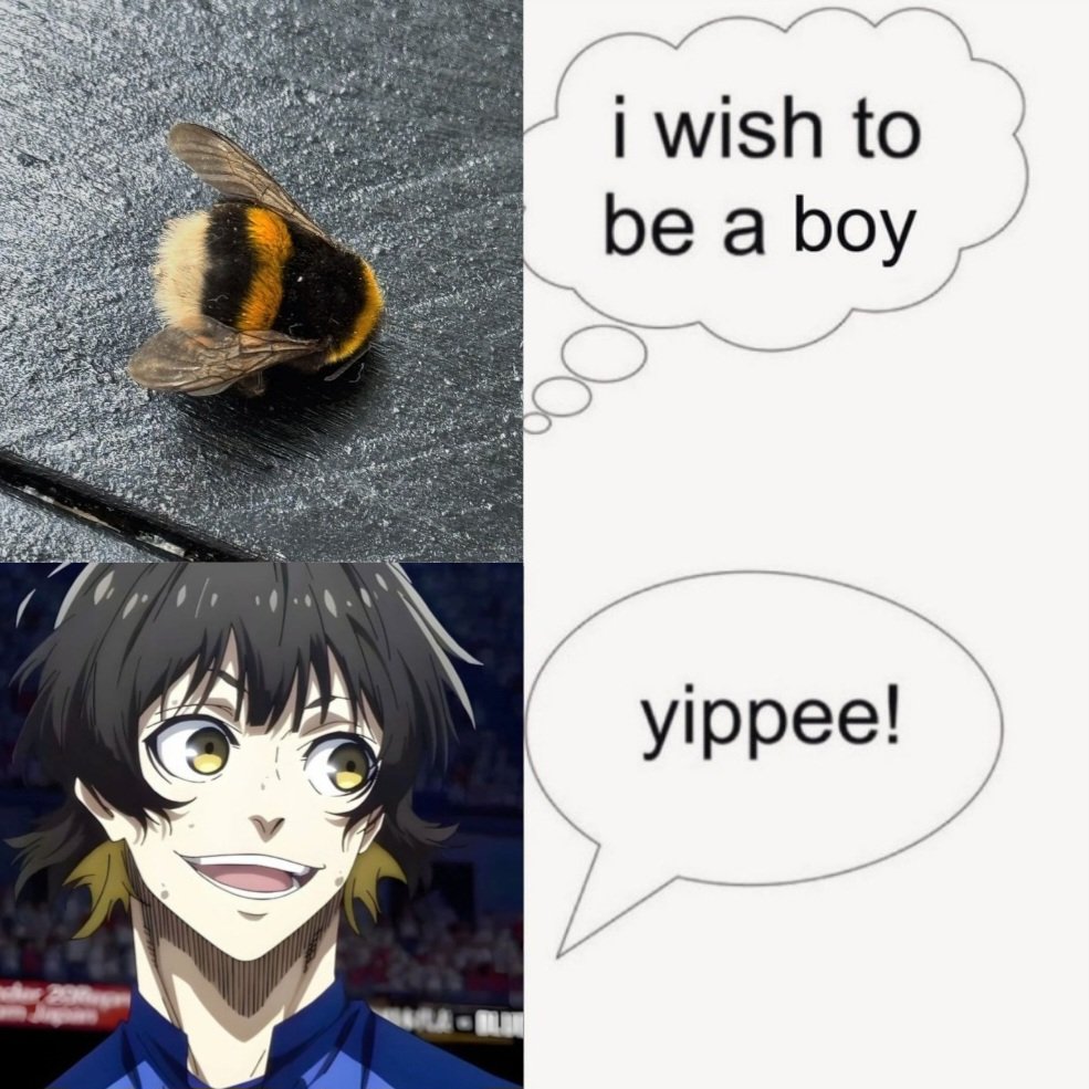 risse 🐝 tweet media