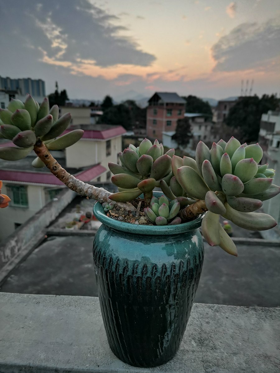LuisFigueira71's tweet image. "Toss what’s worn, keep what sparks joy. Old jeans → fresh storage, chipped mugs → plant pots!  #UpcycleMagic #DeclutterJoy"