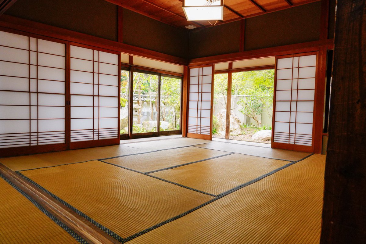 森のフォトスタジオ〜丹波〜 tweet media