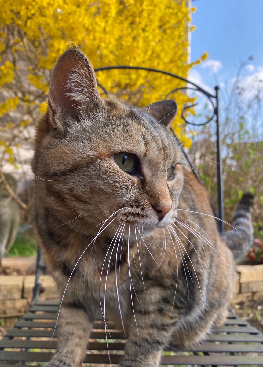 Yuko Sasaki tweet media