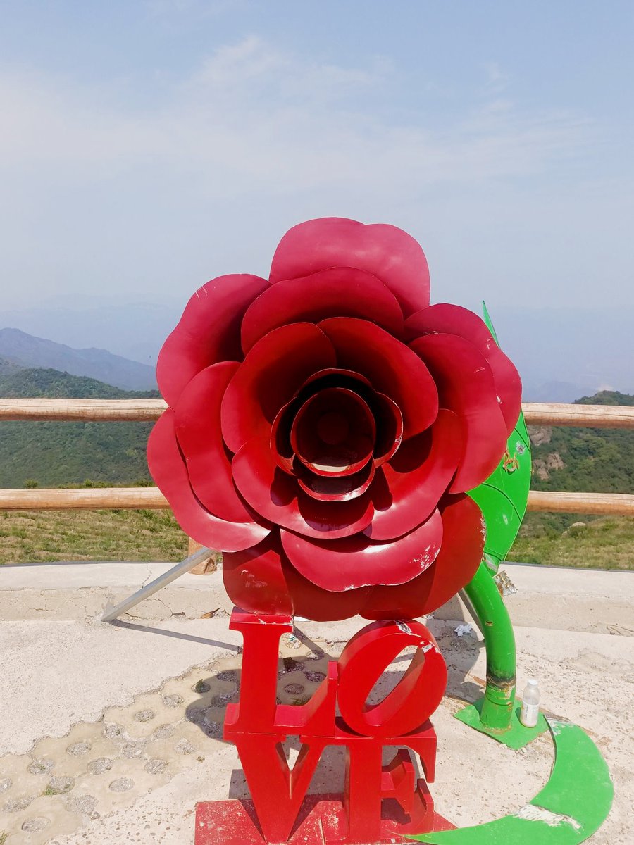 __nur1an__ tweet media