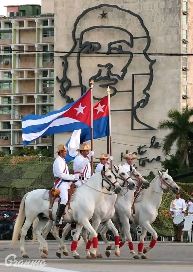 Herederos de los mambises, los cubanos seguimos firmes defendiendo la soberanía alcanzada. #CubaEstáFirme #CubaVencerá #100AñosConFidel <a href="/DiazCanelB/">Miguel Díaz-Canel Bermúdez</a> <a href="/DrRobertoMOjeda/">Dr. Roberto Morales Ojeda</a> <a href="/PartidoPCC/">Partido Comunista de Cuba</a> <a href="/PresidenciaCuba/">Presidencia Cuba 🇨🇺</a> .