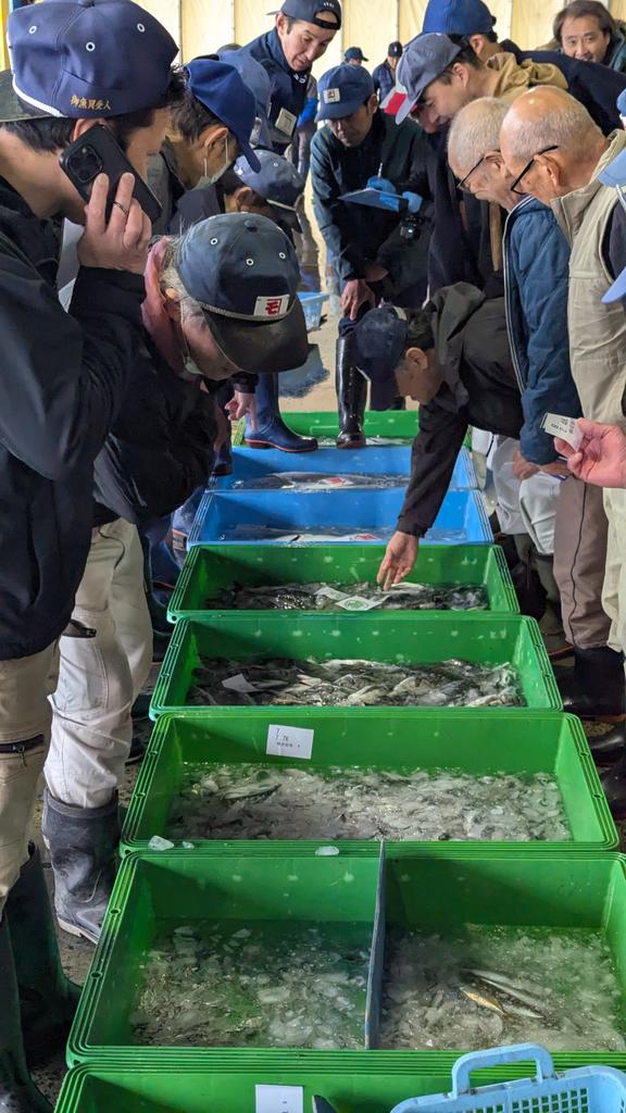 南駿河湾漁協御前崎本所でのテスト導入を無事終えました。来年度の導入に向けて前向きなご意見を頂けました✨️
キンメダイがほんとに多かったです！