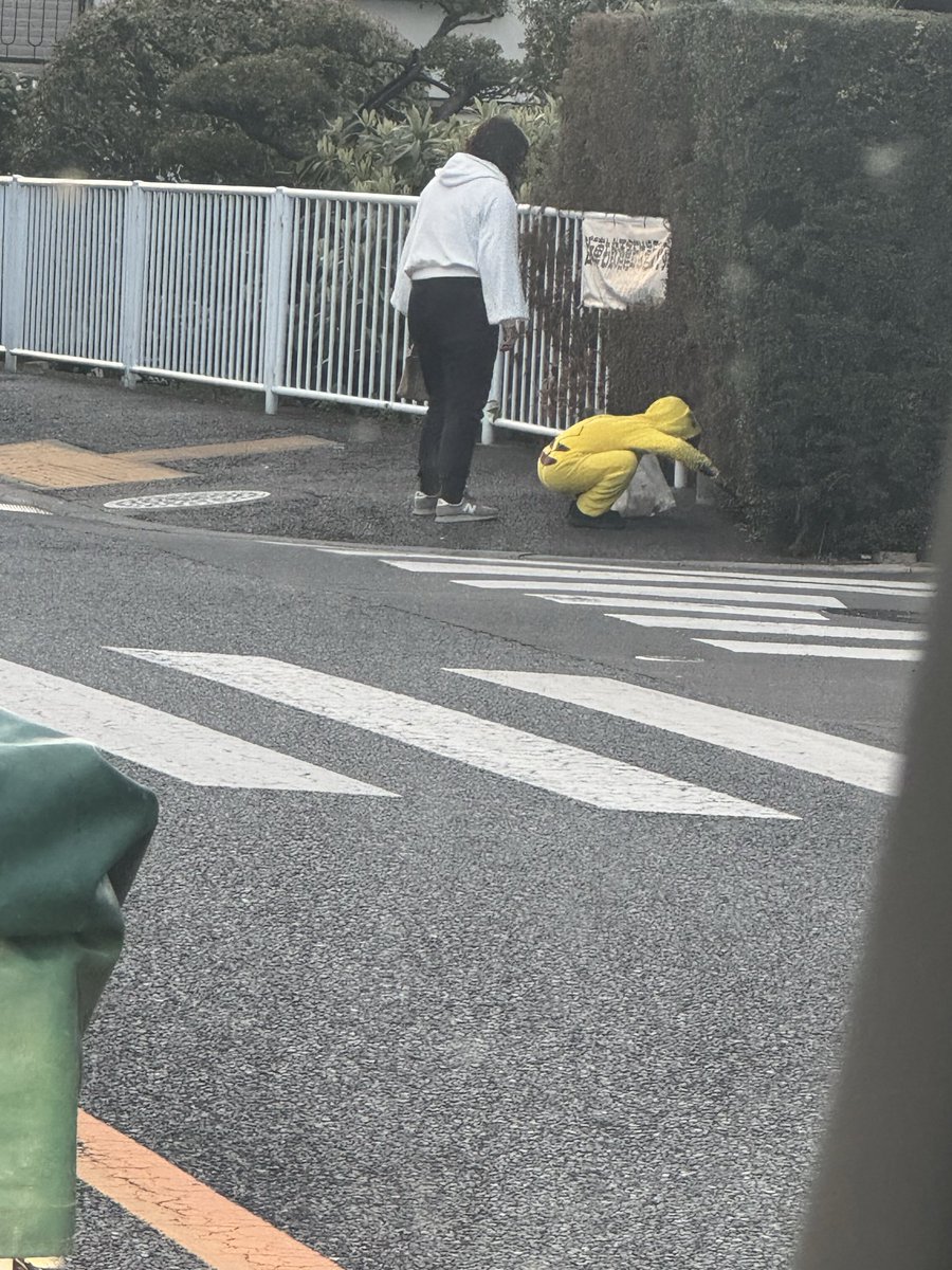 surplunear's tweet photo. 可愛いピカチュウがゴミ拾いしてるん https://t.co/qXL7eolrjg