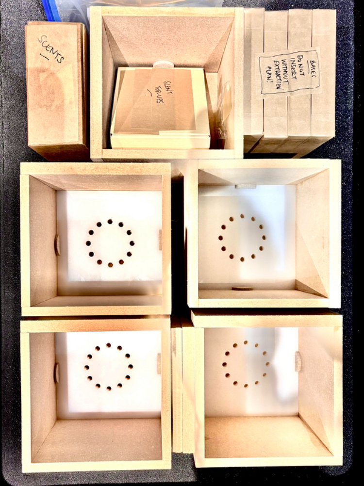 Digital Archaeology tweet media