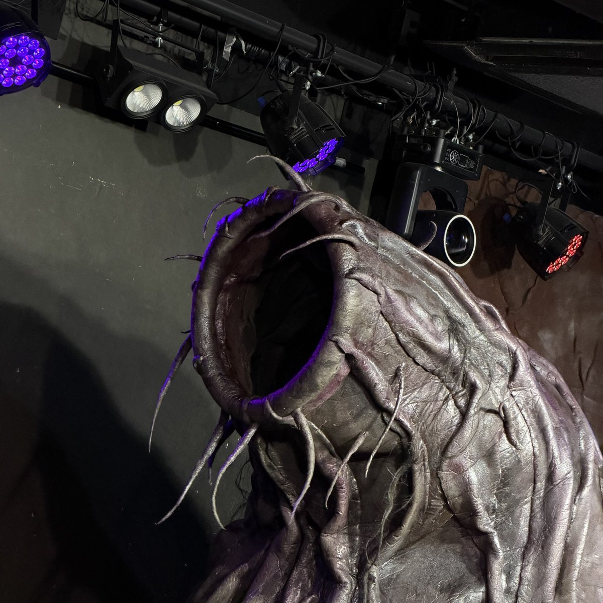 特異点心/singularity heart tweet media