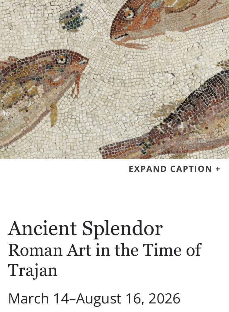 Digital Archaeology tweet media