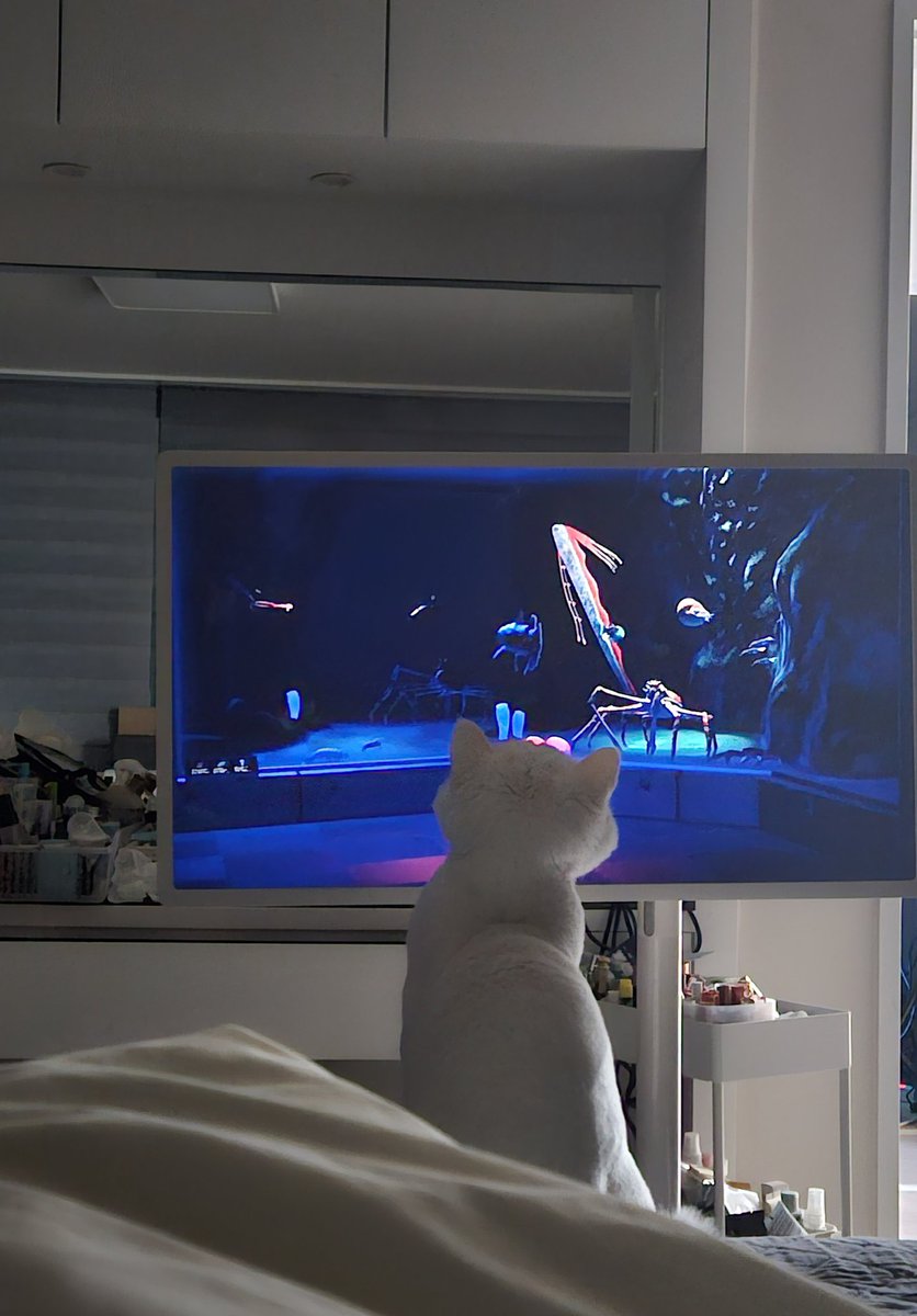 소풍왔니 tweet media