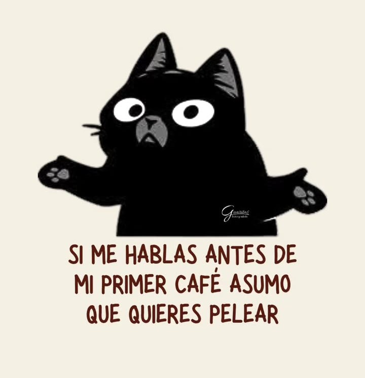 Mercedes S tweet media