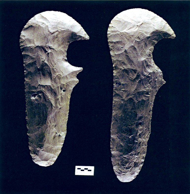 MoundLore tweet media