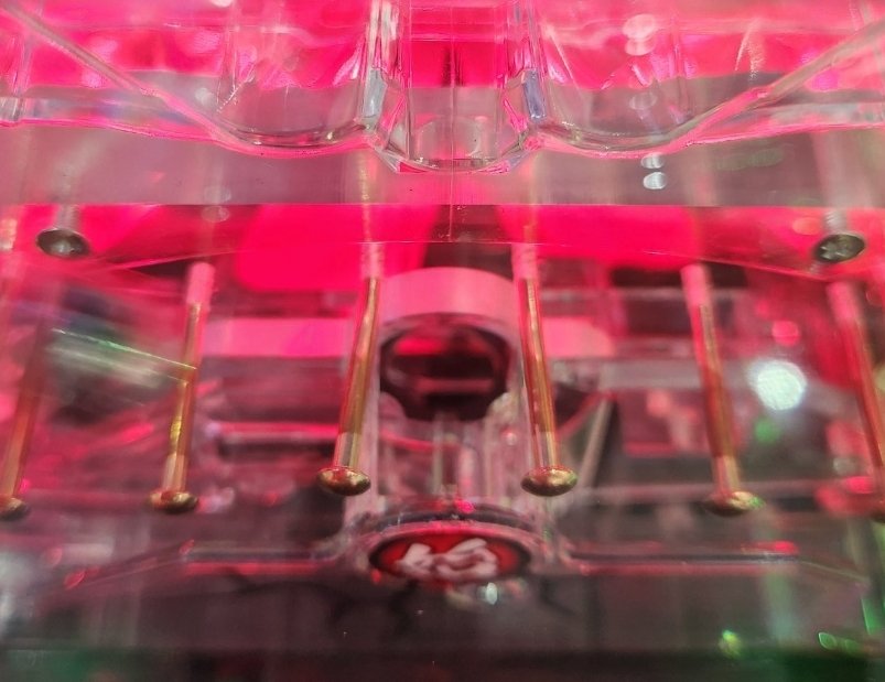 Aliceのパチ垢 tweet media