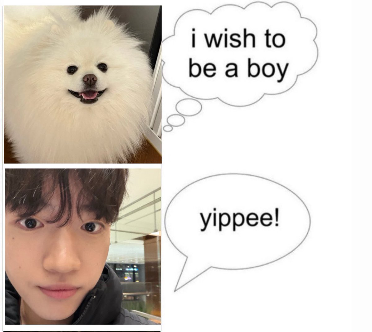 Bark-Jeok🐻🧡🐶❤️ tweet media