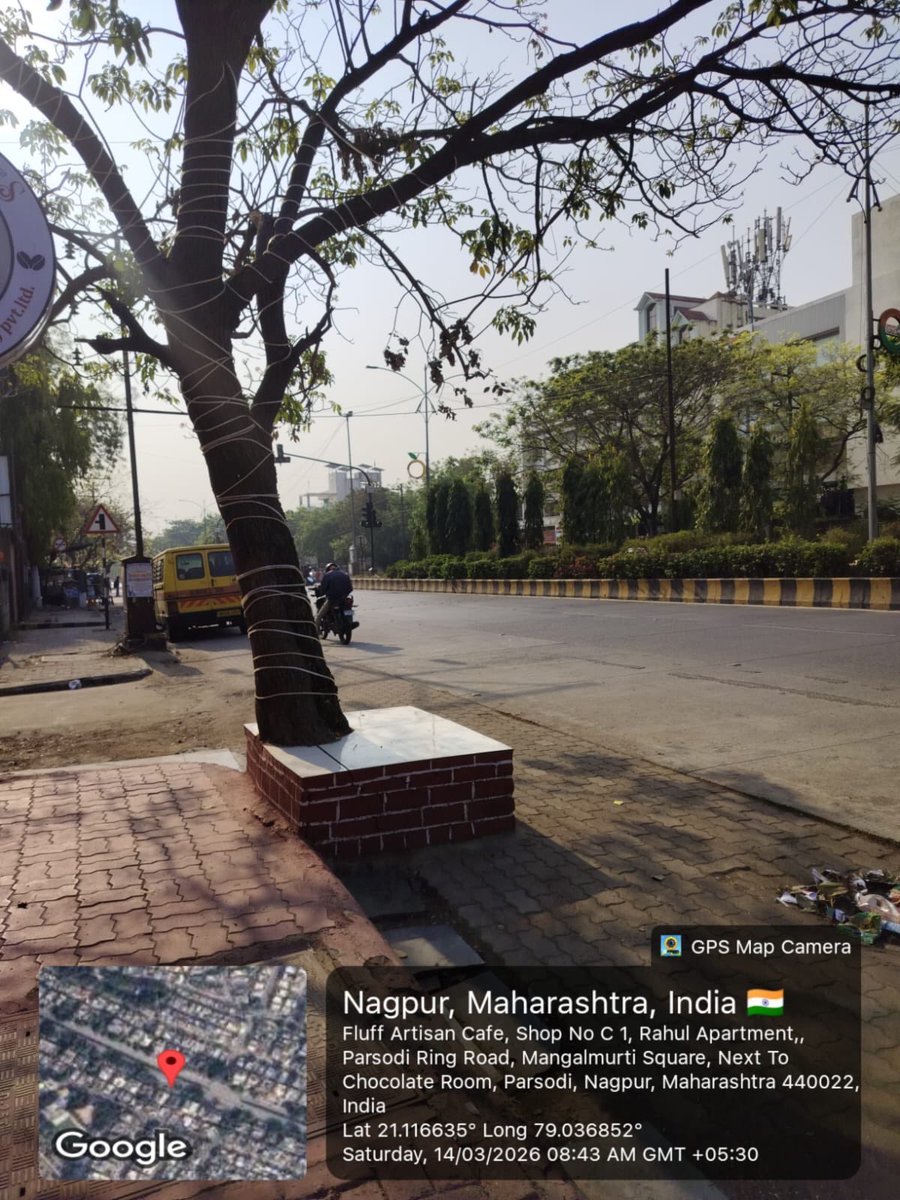 RutaVitasta's tweet photo. How to kill a tree. 
First bind it with rope. Then choke it . Then wait. https://t.co/VV7A1RQIo5