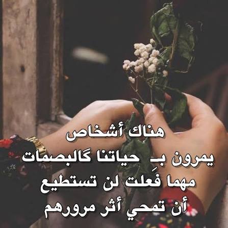 nagahlibya's tweet photo. ✍ تبقى بعض النفوس كالعطور الفواحة، تلامس قلوبنا بلطف وتترك في داخلنا أثرًا لا يُمحى. هؤلاء الأشخاص هم كالرسائل التي نحملها معنا دائماً، نعود إليها حين نحتاج للدفء والحنان، لأنهم بكلماتهم  وسلوكهم يُزهرون أرواحنا بالأمل والحب.
✍ صباح الورد ⚘️
                    🌴 https://t.co/Z34dToZuMG