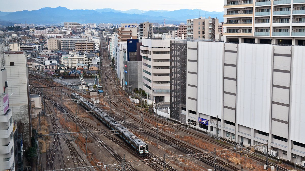 反町（たんまち） tweet media