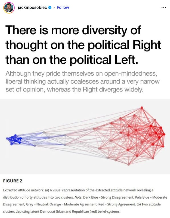 Cat Crazy tweet media