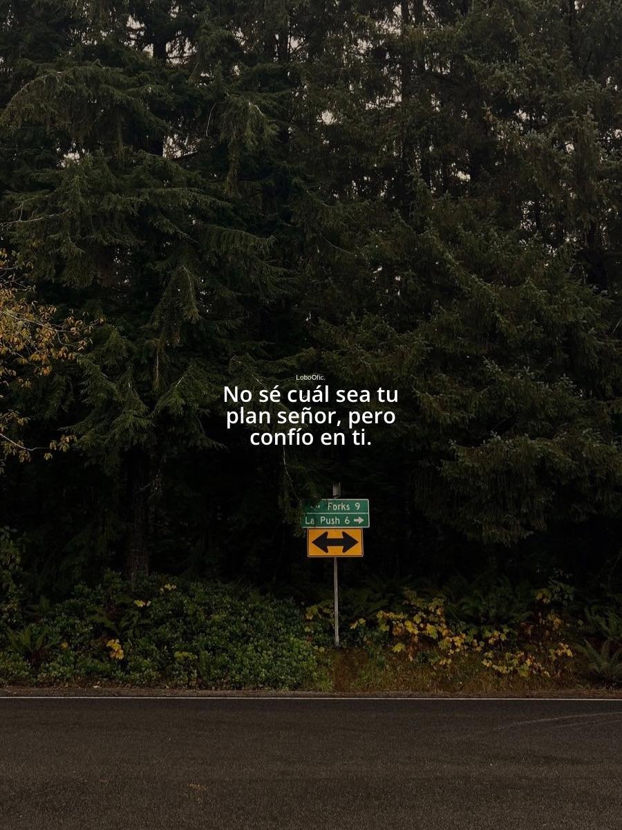 BANDIDOS (@bandidosfrasess) on Twitter photo 