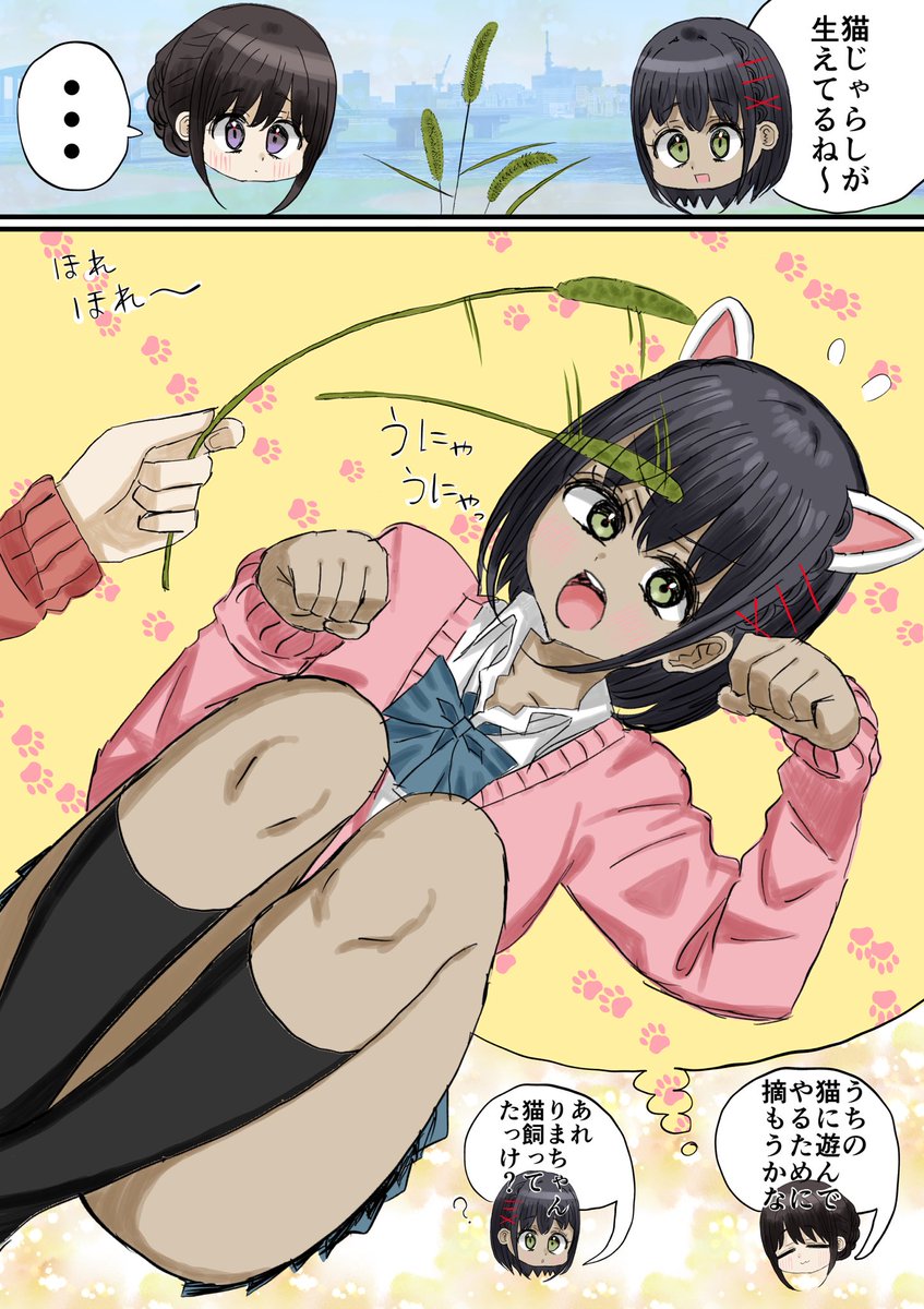 猫じゃらしの創作百合🐈
#創作百合
#きらりま