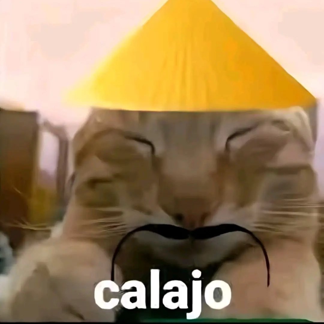 Tenderaot 🇨🇴 tweet media