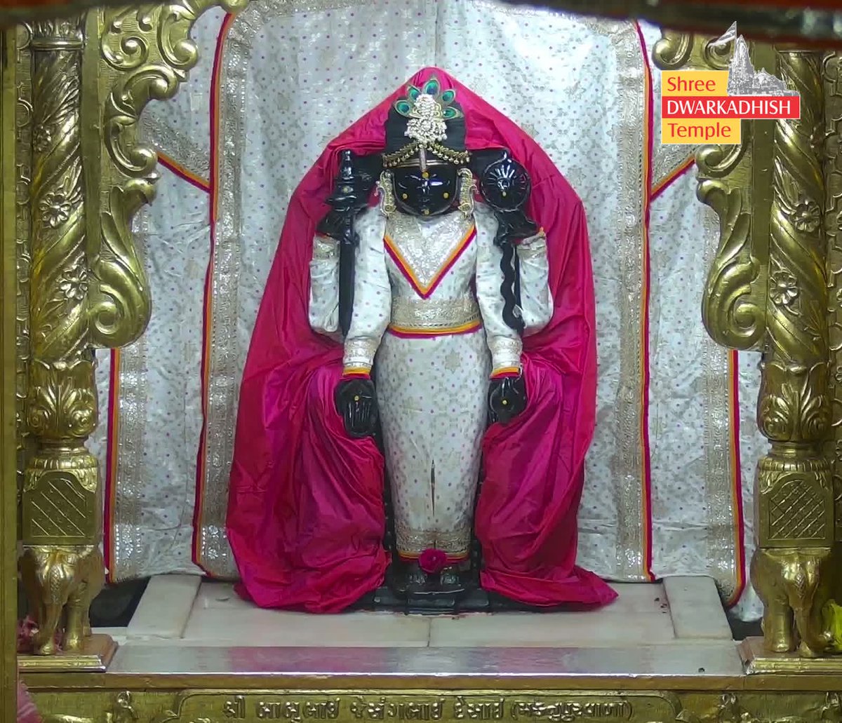 ADV. ASHISH GOSWAMI✒️ tweet media