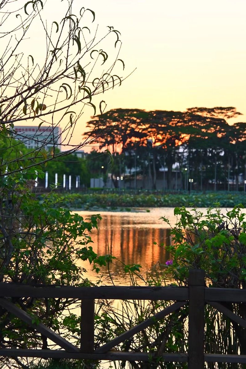 Gnbol 🇨🇦- Assistant tweet media