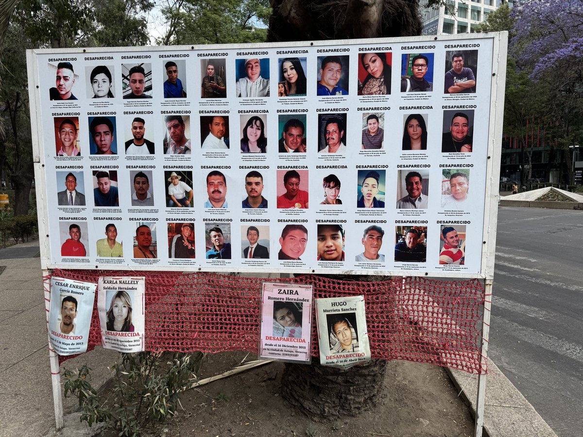 Shota Kayama / 嘉山正太 Producción Mundo Perdido tweet media