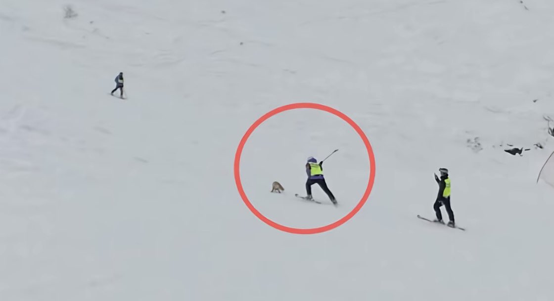 作家崔成浩 tweet media