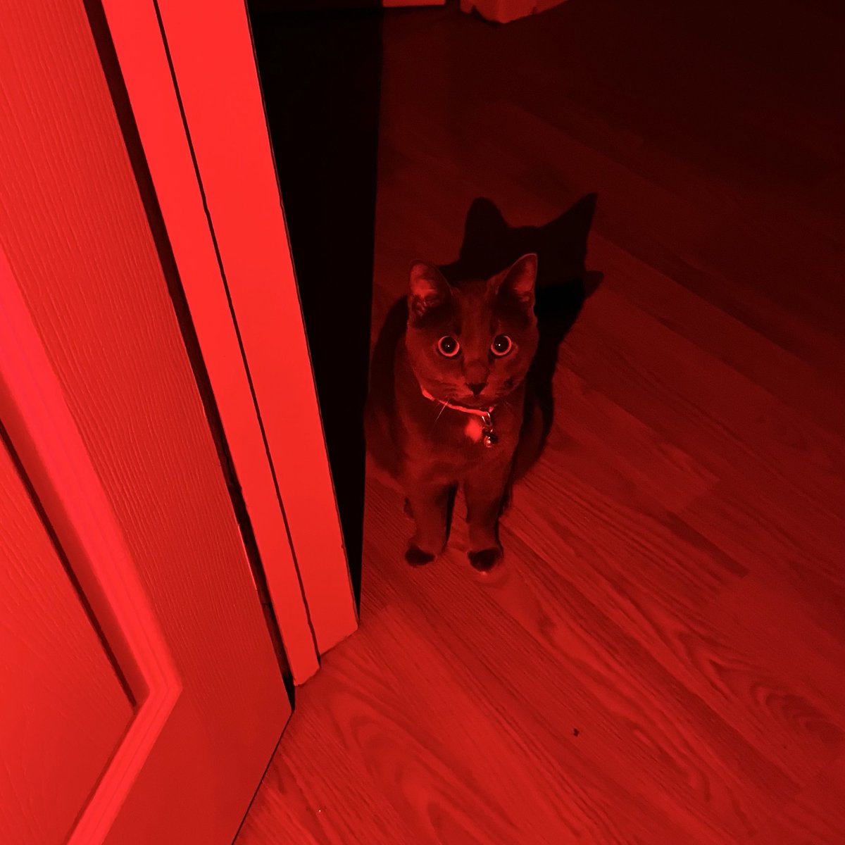 Sock’s father tweet media