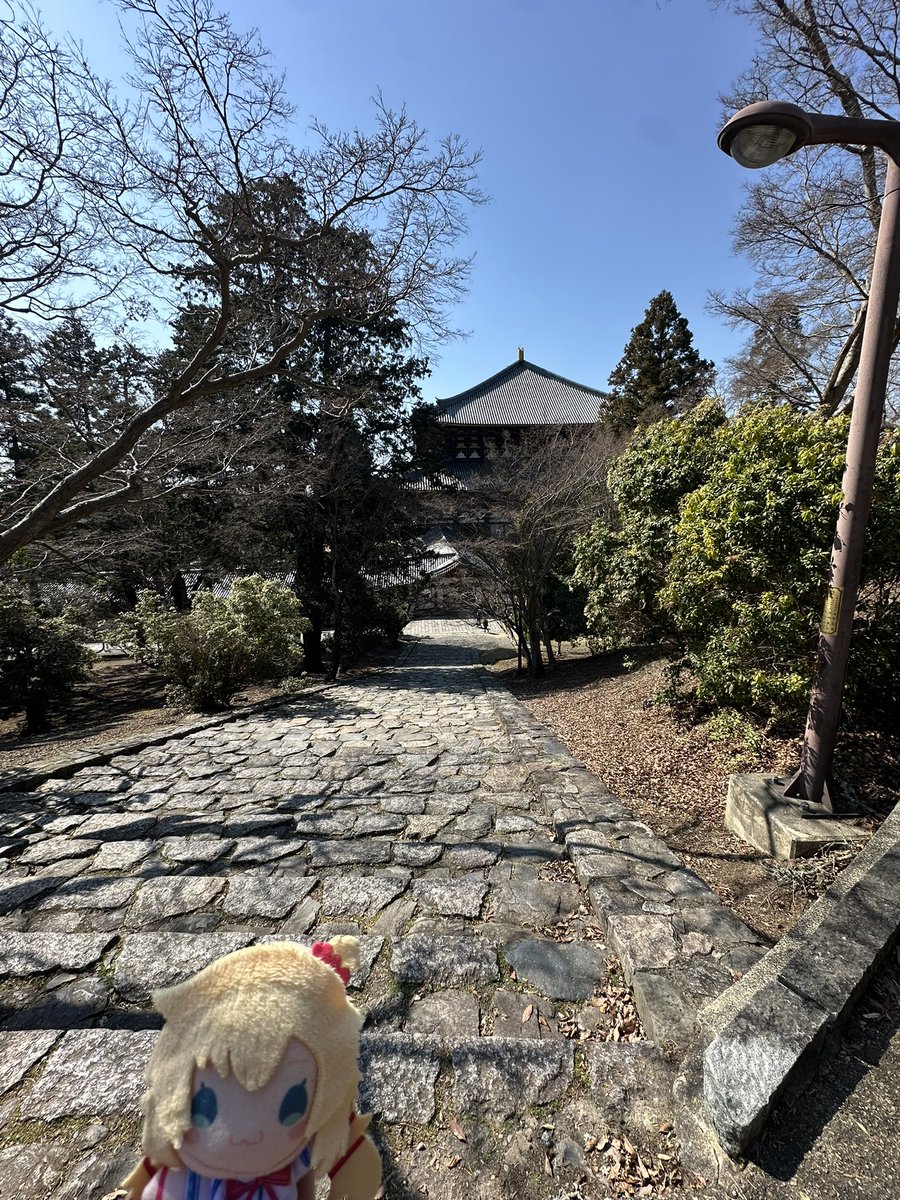 MonNov92's tweet photo. More Nara pics

#推し活はあとん日記 https://t.co/Wy4aU6d0Nm