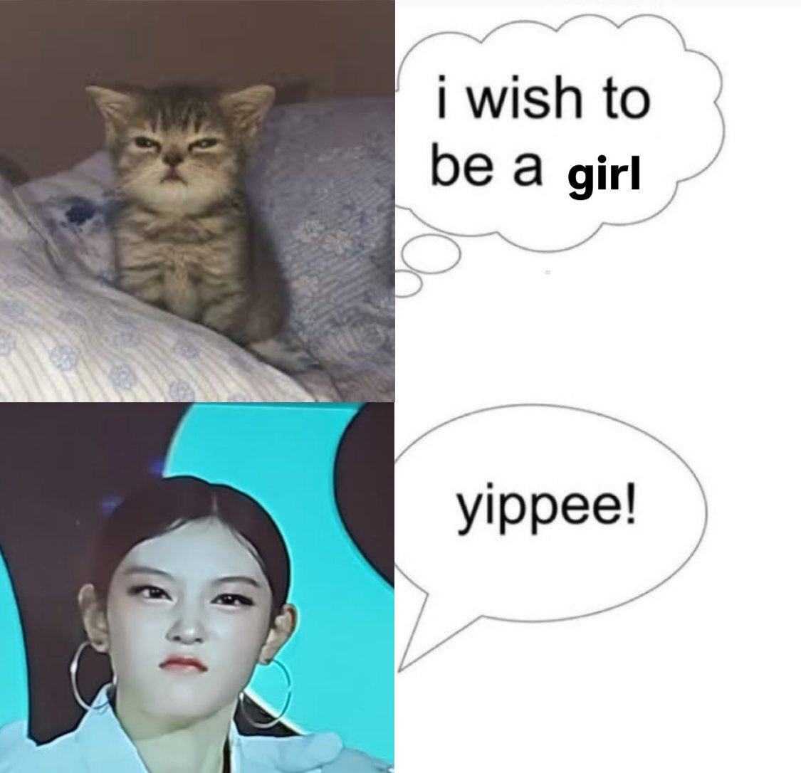 캔따개 tweet media