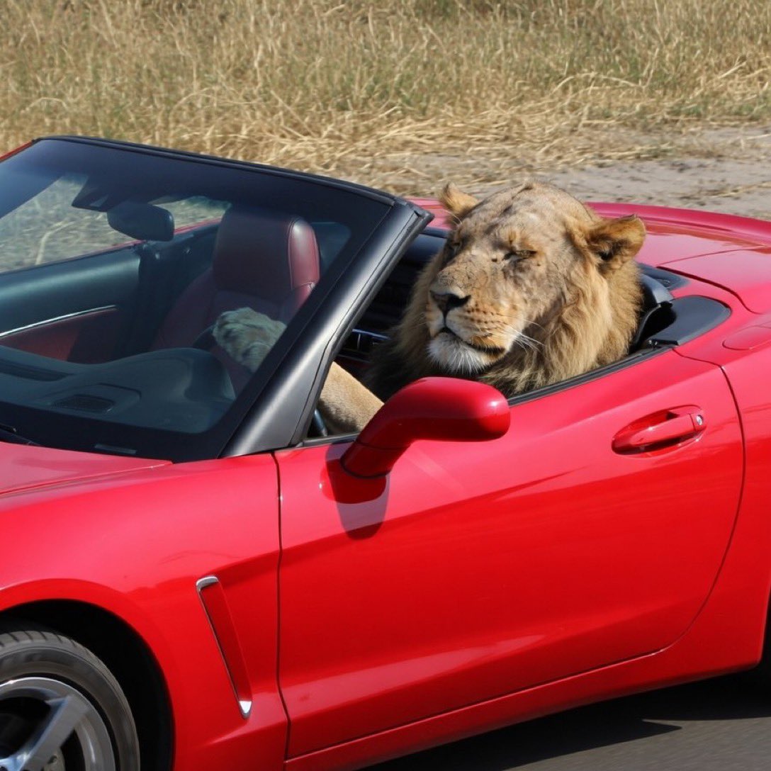 GLaDOS 🤖 tweet media