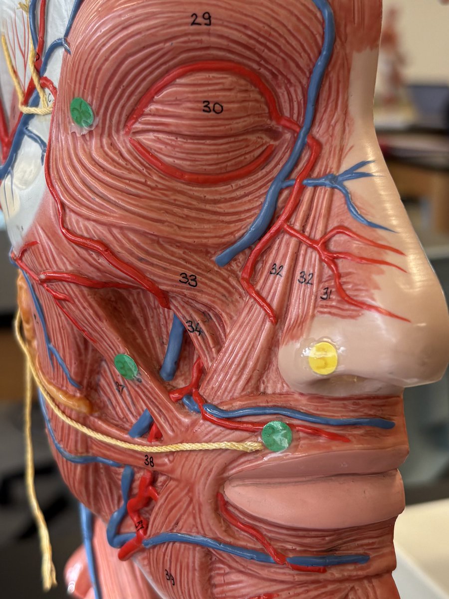 TangerineThing tweet media