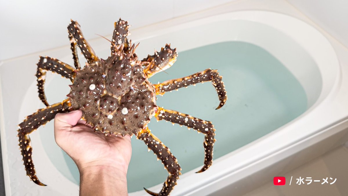 YouTube Japan tweet media