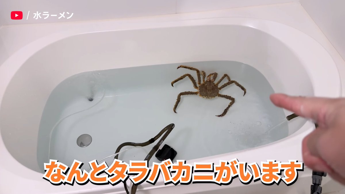 YouTube Japan tweet media