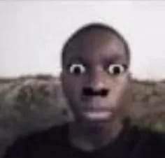 SCARLETT (HIATUS AGAIN) tweet media