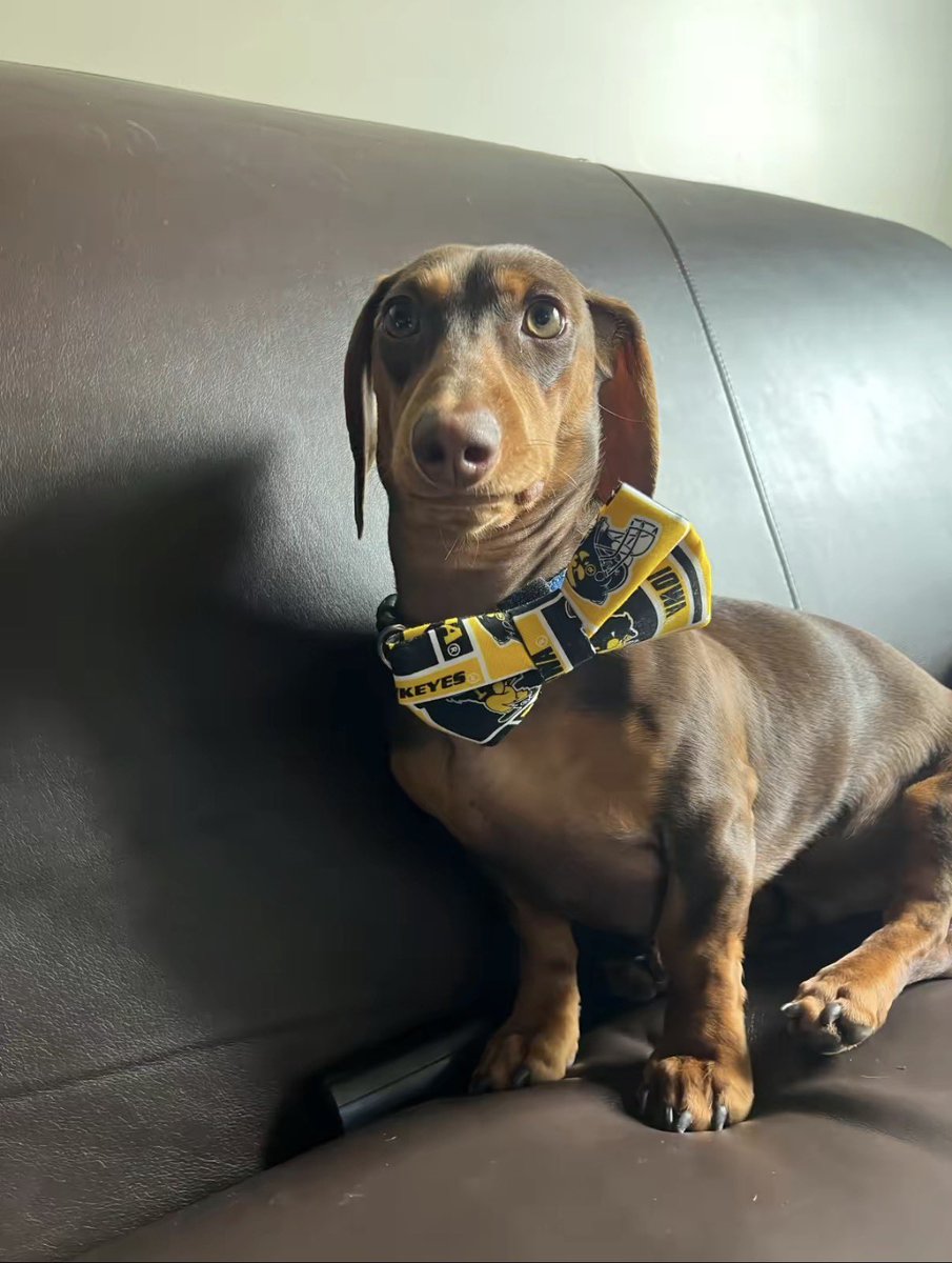 Chance :) tweet media