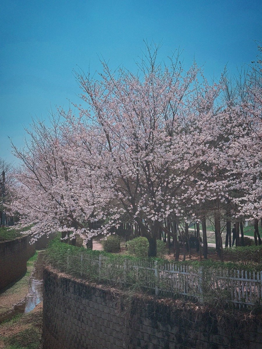 Steve 인창 Ahn tweet media