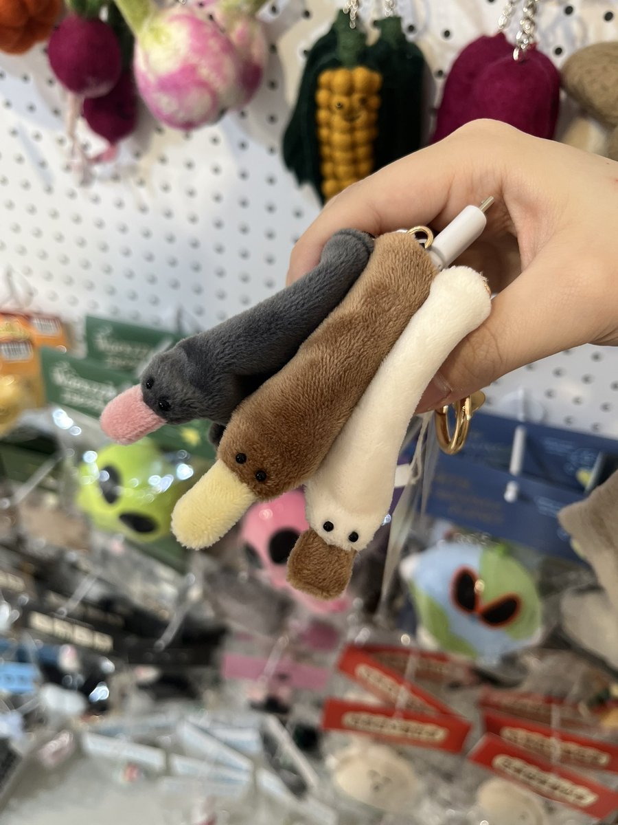 새파란 tweet media