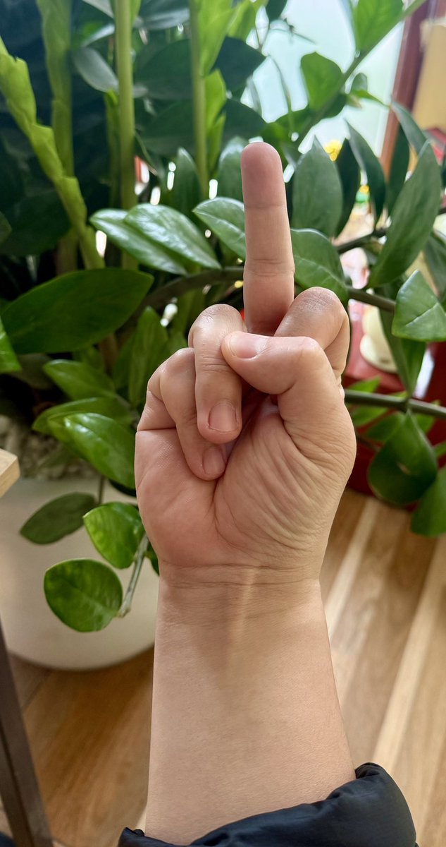 Hunter Andrew tweet media