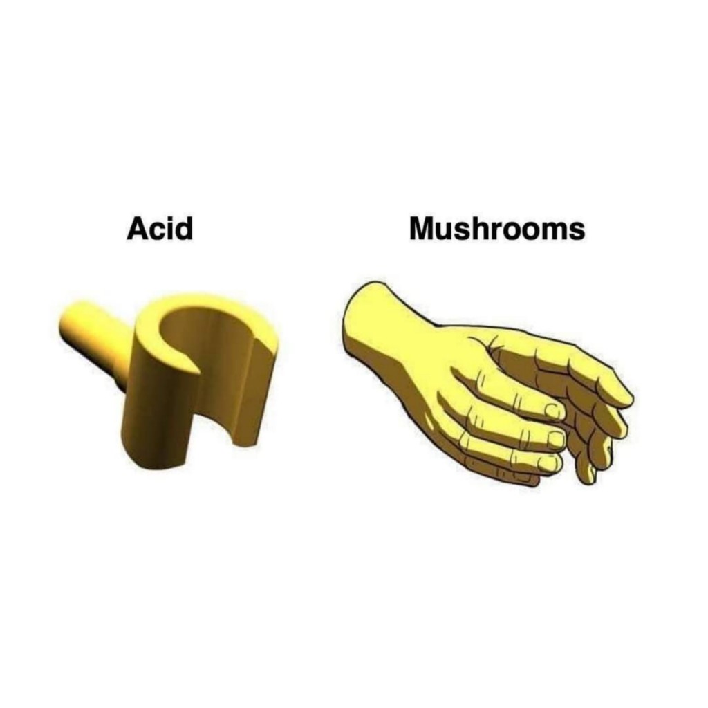 👾 𝐀𝐥𝐢𝐞𝐧𝐬 & 𝐏𝐬𝐲𝐜𝐡𝐞𝐝𝐞𝐥𝐢𝐜𝐬 🌵 tweet media