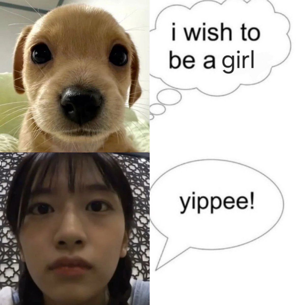 anneyeongzz's tweet photo. https://t.co/oIYP2SymJG