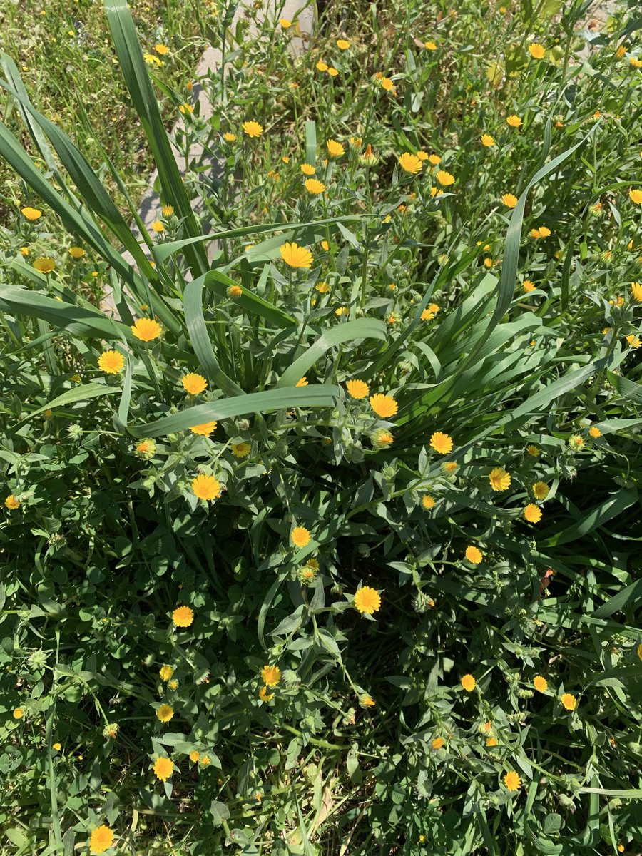 Ne tarafa bakıyorduk güzel bir gün için,
Düne mi?
Bugüne mi?
Yarına mı?

#günaydın yaşamak 
#huzurla💙🐬🌼
#sağlıkla 🎈