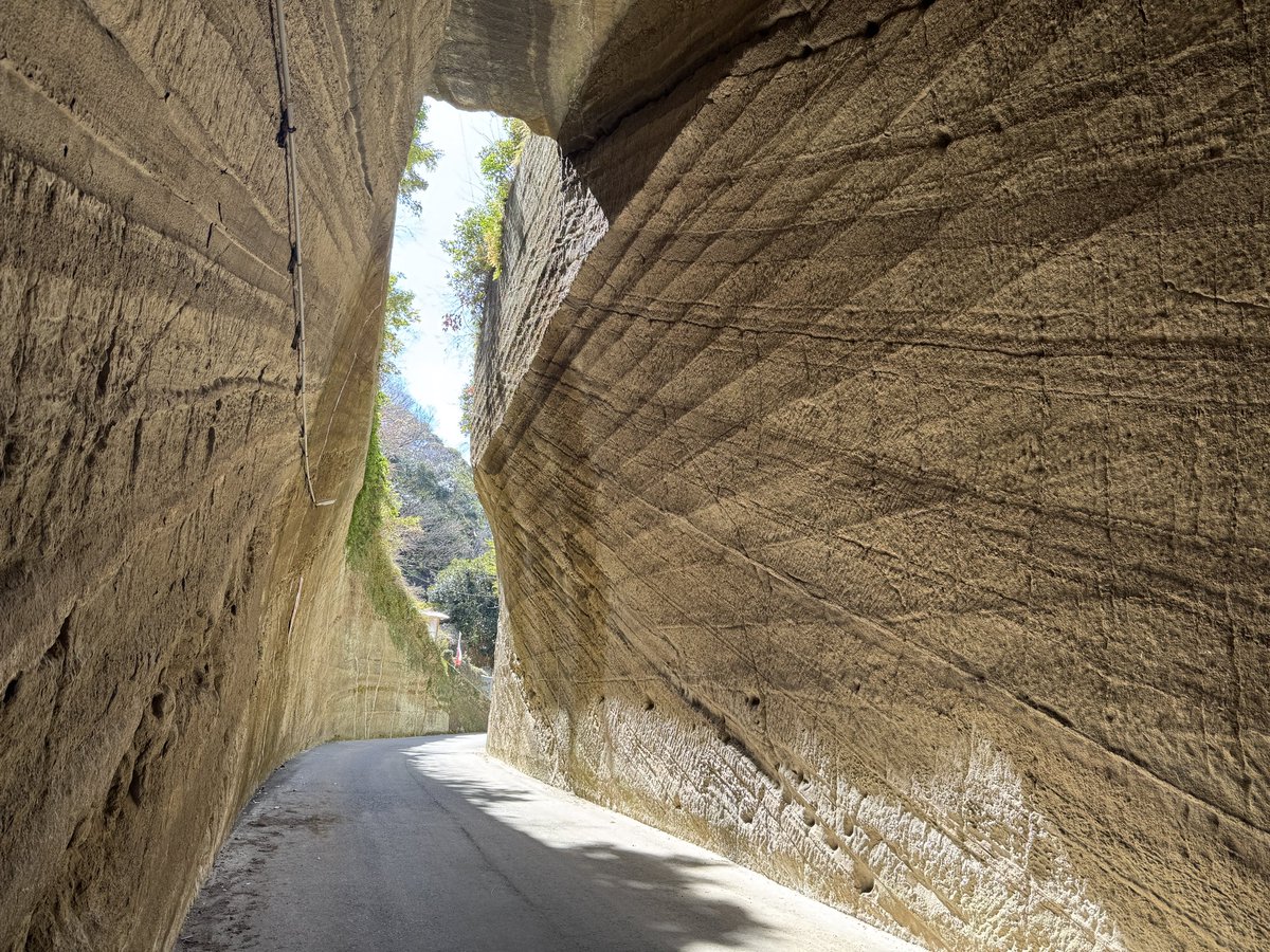 Makoto OTSUBO tweet media