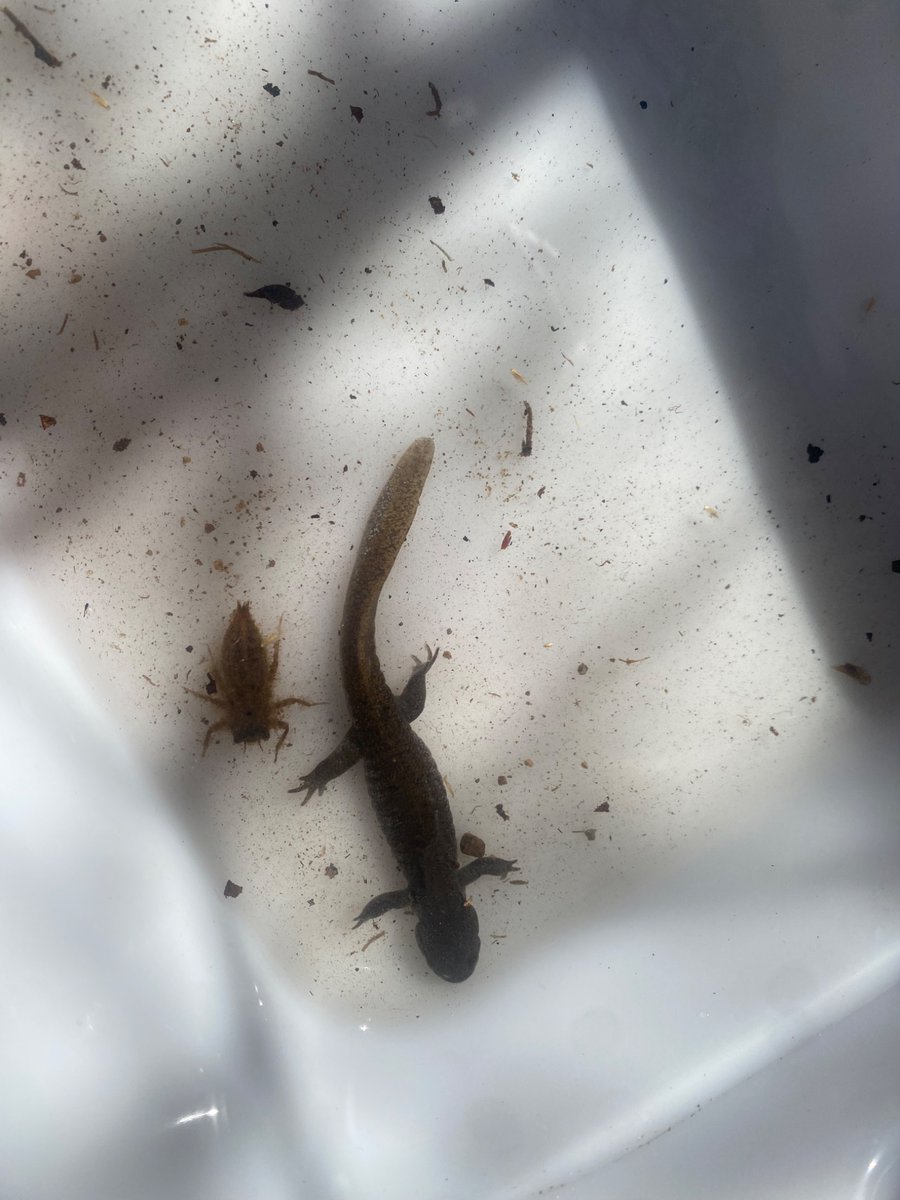 なおこ tweet media